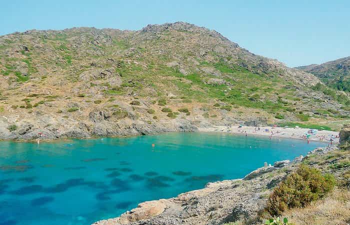 que hacer en el port de la selva