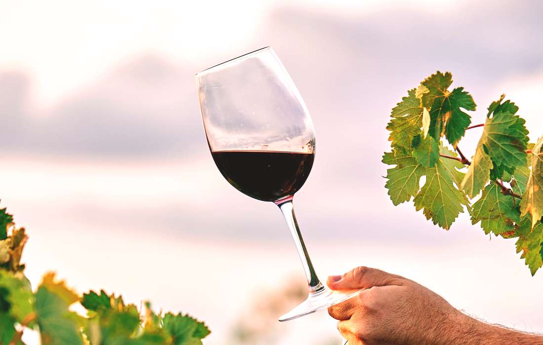 vinos de la costa brava