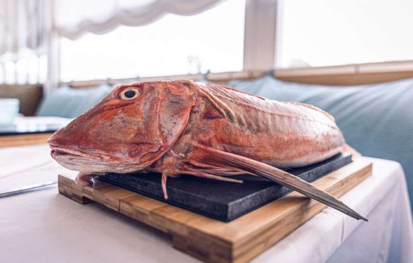 pescado de la costa brava